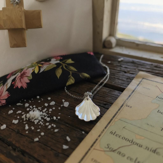 Dainty Shell Necklace on a 20inch Chain
